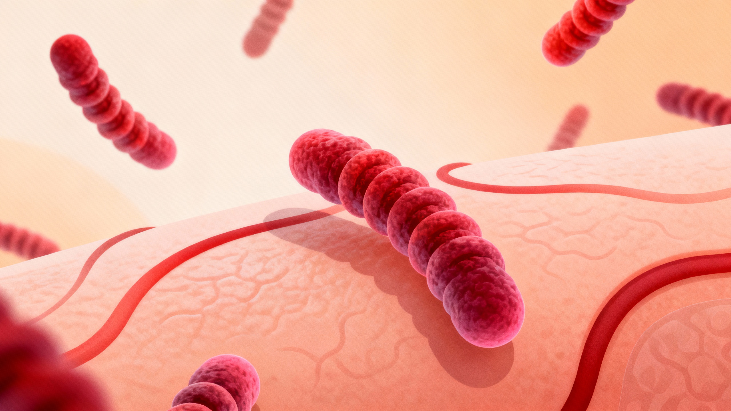 Featured image for The Path to Diagnosis: Identifying Syphilis Causes for Skin Rashes